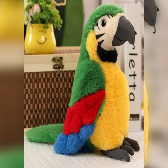 Parrot