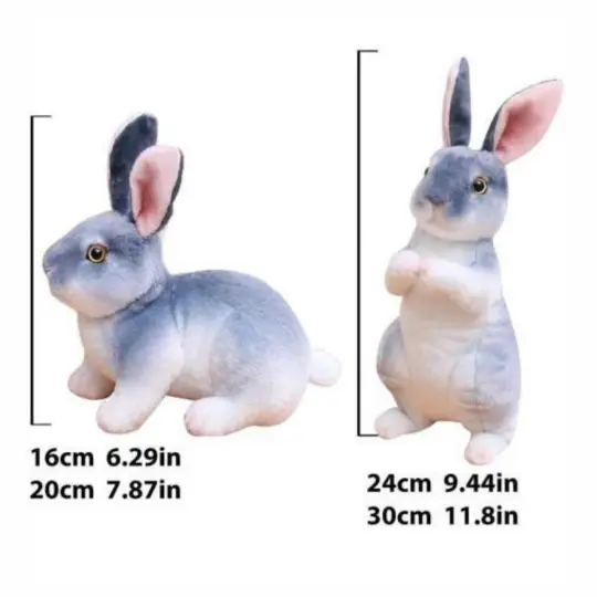Rabbit